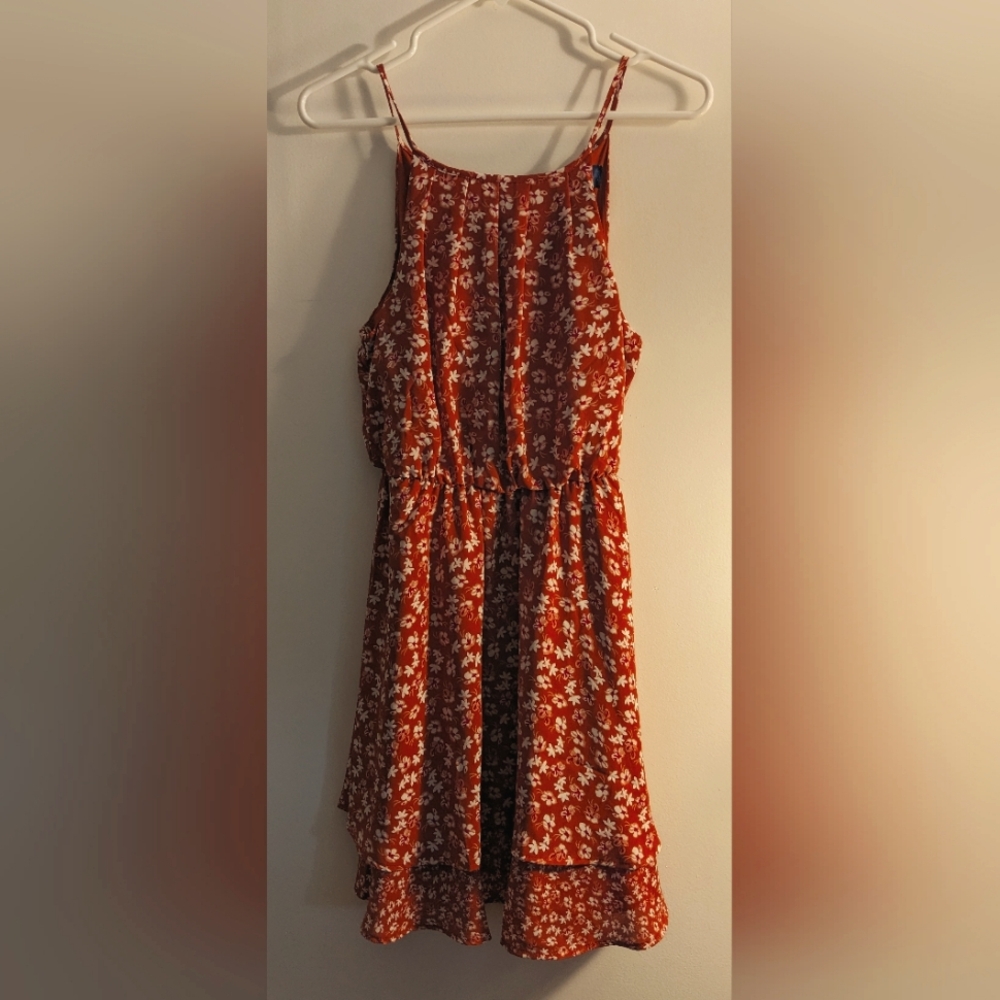 Francesca's dress